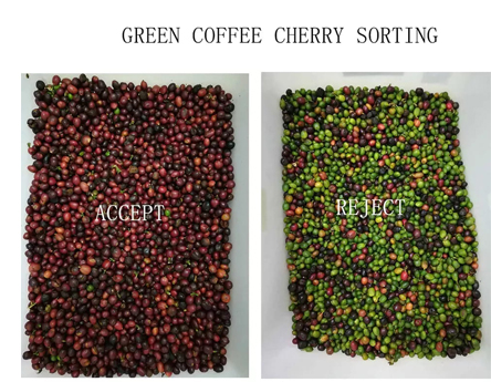 Машина для сортировки цвета кофейных зерен Cherry